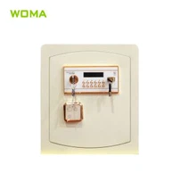 الیکٹرانک اسٹیل سیکورٹی محفوظ