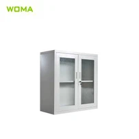 گلاس دروازے اسٹیل فائل کابینہ