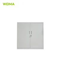 دو سٹیل مسل کیبنیٹ دروازہ